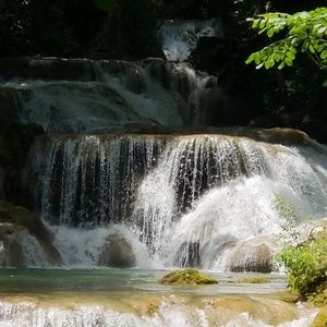 Meet your Posher, Lynn